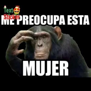 Text Sticker ME PREOCUPA ESTA MUJER - getsticker.com