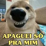 por mim voltei