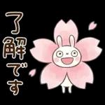 やさしい春の毎日♡ふんわかウサギ