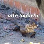 Fuera bicho inmundo SITAS 