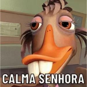 CALMA SENHORA - getsticker.com