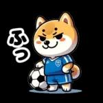 サッカー大好きな柴犬