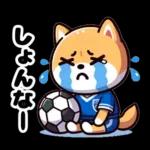 サッカー大好きな柴犬