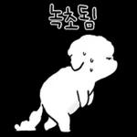 또리는 소심하지만 참지않지
