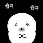 촉촉한 물버밍