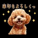 午年2026年！プードルとうまの年末年始