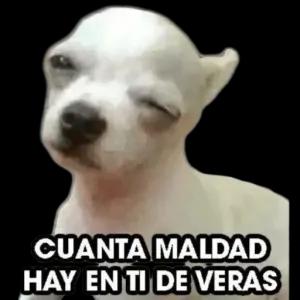 CUANTA MALDAD HAY EN TI DE VERAS - getsticker.com