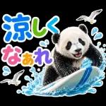 かなしいです