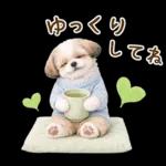 気持ち伝わる癒やしシーズー