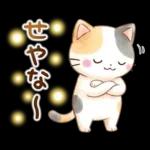 ほんわか水彩♪京都の三毛猫さん