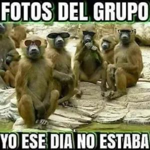 FOTOS DEL GRUPO YO ESE DIA NO ESTABA - getsticker.com