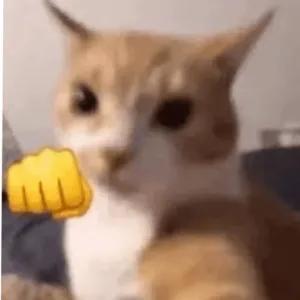 QmhST5