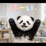 飛び出す♡まいにちパンダ