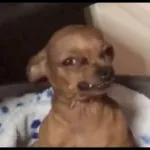 TF by TINKART STUDIO @inkart.drew