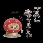 おひとよしネコチャン⭐️3Dフロッキー 1