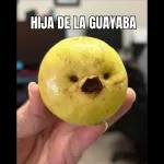 🌹Memes esenciales para chatear