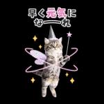 毎年使える♪リアルなにゃんこの年末年始