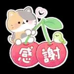 ふんわりにゃんこの春