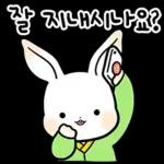 명절 토끼 인사드려요