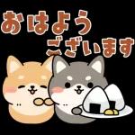飛び出す！シバイヌの日常敬語スタンプ