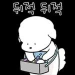 또리는 소심하지만 참지않지