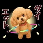 【秋冬】ずっと使える❤️日常会話 トイプー