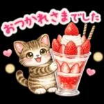 猫まみれのやさしい日常【春】