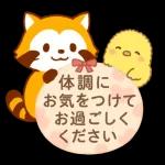 冬限定！たぬきのごあいさつ