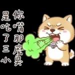 柴犬可愛諧音梗