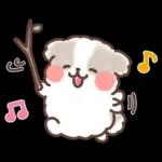 ふわふわシーズー 3歳児