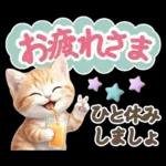 にゃんこ達の❤️気持ちたっぷり長文❤ねこ