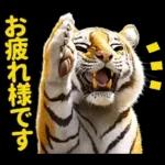 大阪神戸の野球好き虎ファン向け5とらほー