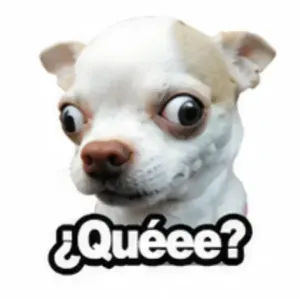 ¿Quéeee? - getsticker.com