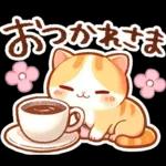 毎日♡猫ちゃんず【連絡・今何してる？】