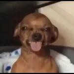 Primero que nada buenas tardes