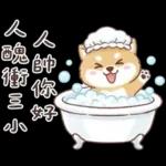 柴犬可愛諧音梗