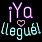 TE AMO RATA DE ALCANTARILLA