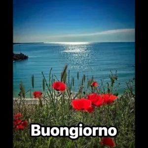 Buongiorno - getsticker.com