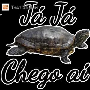 Já Já Chego aí - getsticker.com