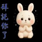 可愛白兔-實用短語