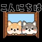 飛び出す！シバイヌの日常敬語スタンプ