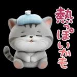 ねこちぃず♡ぐったり涙といたわり