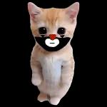 FIN DE RUTA AL 700 Hola, ¡llegué! mercado libre