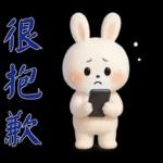 可愛白兔-實用短語