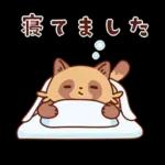 imananishiteru tanuki