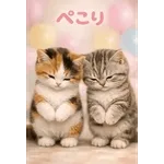 とびだす★ねこちゃんの日常