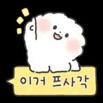 퐁실퐁실 퐁슈랑 벚꽃 보러 갈래?