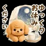 トイプードルの夏と梅雨のお天気カフェ