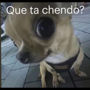 Que ta chendo? - getsticker.com