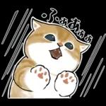 おめかしにゃん